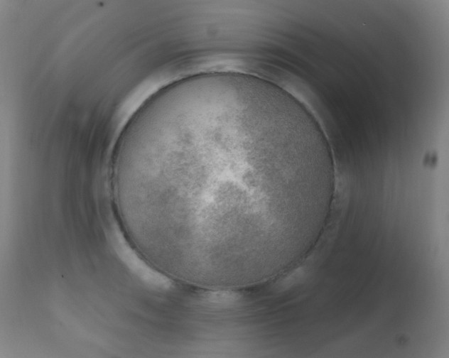 X0000110981090200906191358