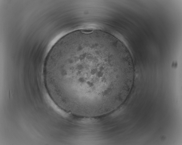 X0000110981091200906191358