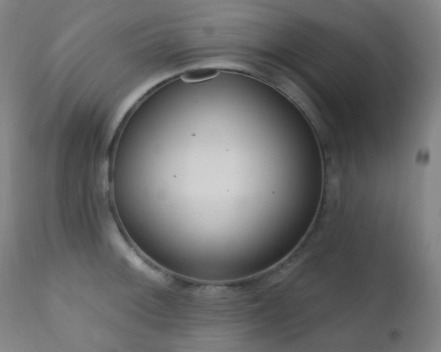 X0000110981092200906191358