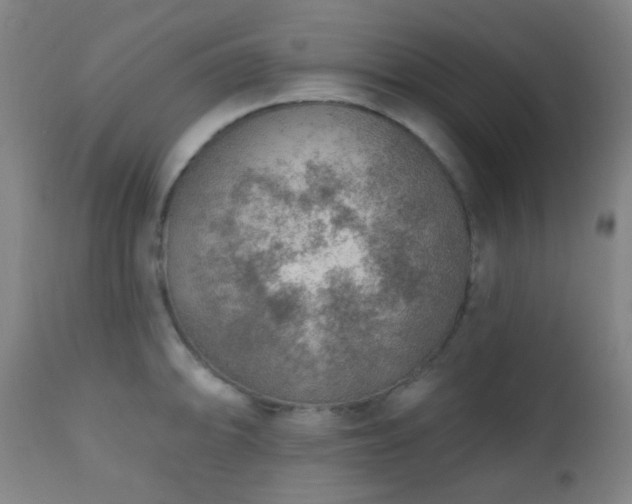 X0000110981094200906191358