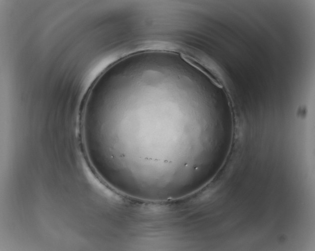 X0000110981095200906191358