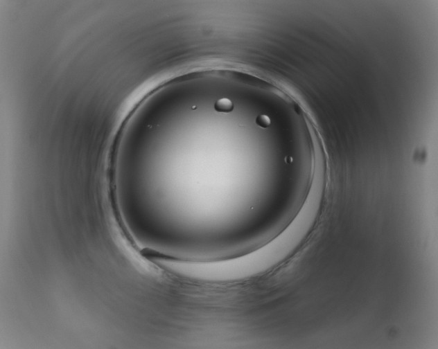 X0000110981098200906191358