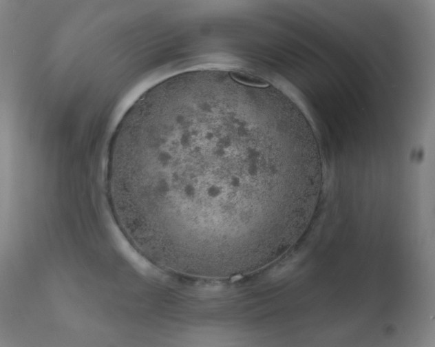 X0000110981099200906191358