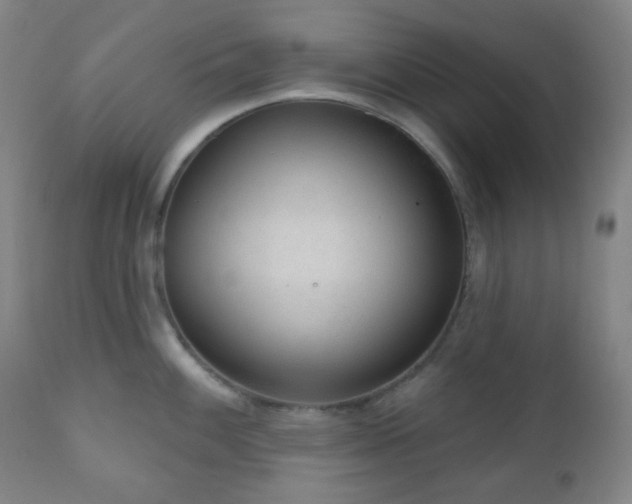 X0000110981100200906191358