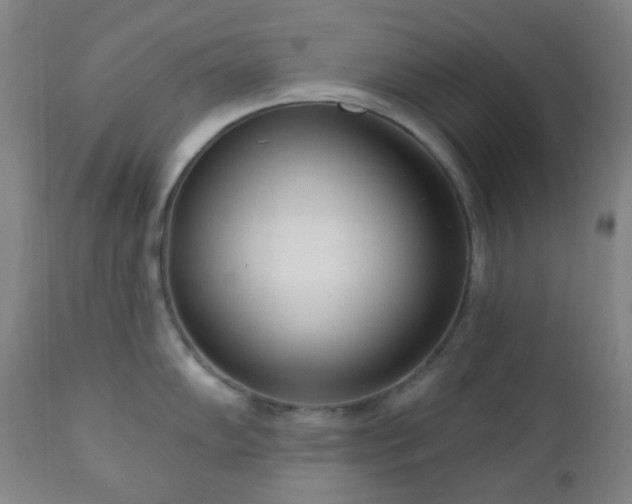 X0000110981102200906191358