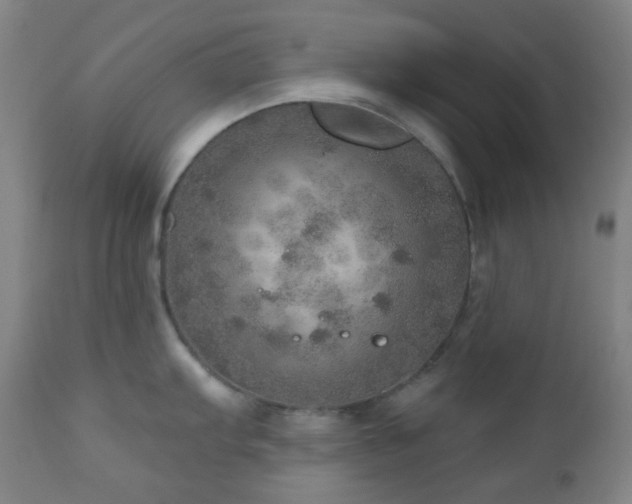 X0000110981103200906191358