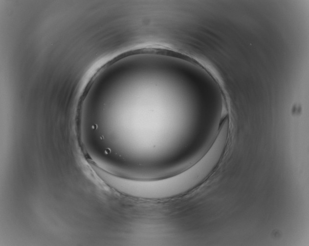 X0000110981104200906191358