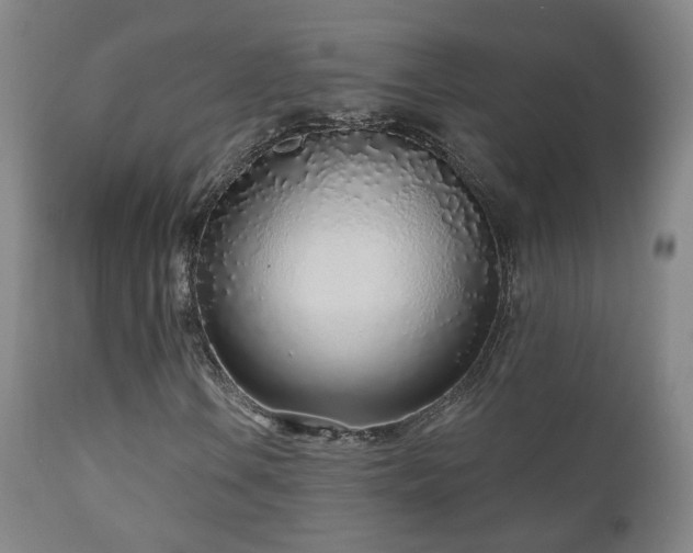 X0000110981106200906191357