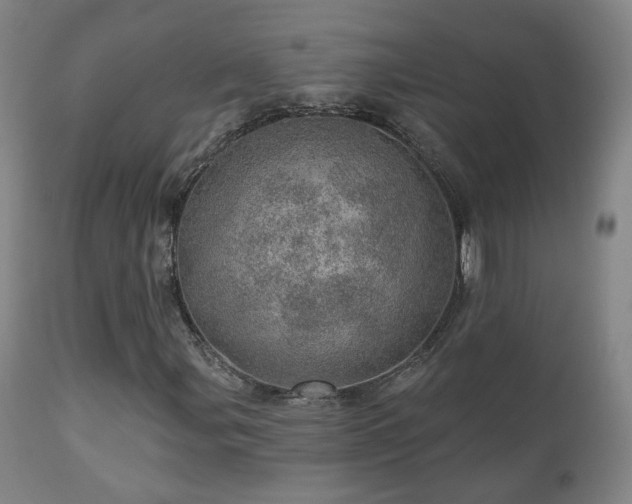 X0000110981107200906191357