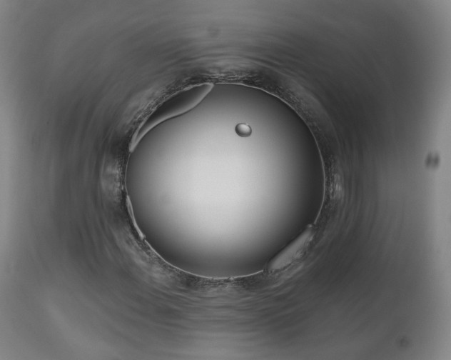 X0000110981108200906191357