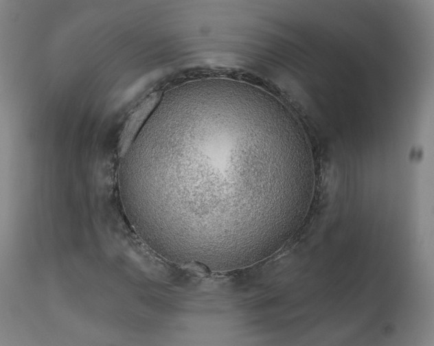 X0000110981110200906191357