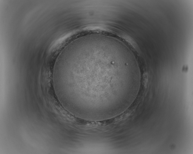 X0000110981111200906191357