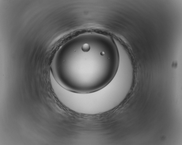 X0000110981112200906191357