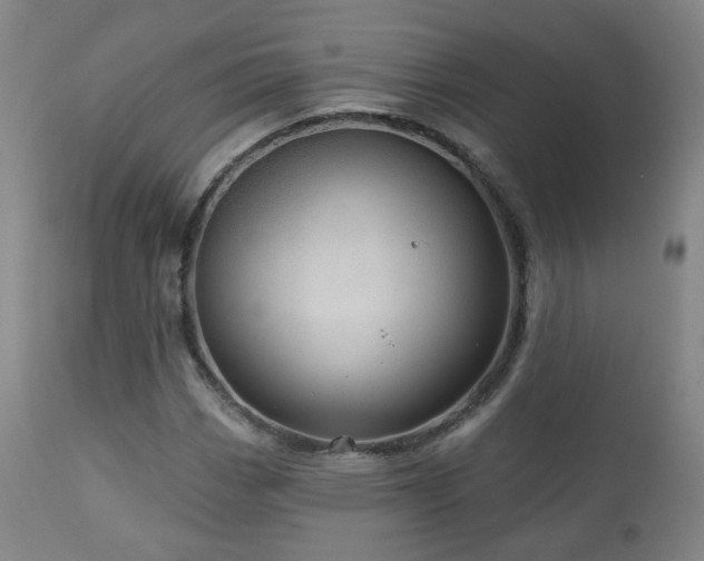 X0000110981113200906191357