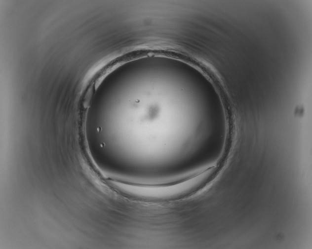 X0000110981114200906191357