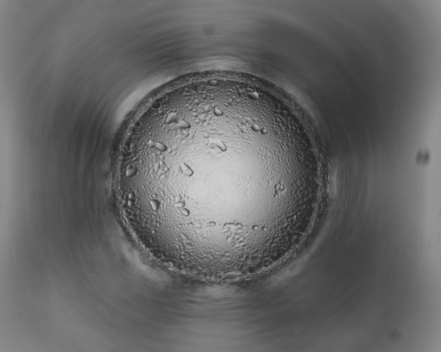 X0000110981117200906191357