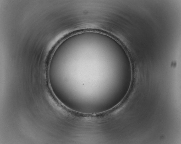 X0000110981118200906191357