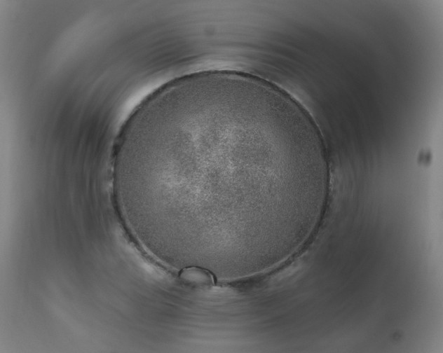 X0000110981119200906191357