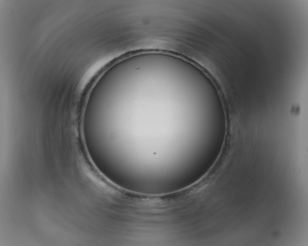 X0000110981120200906191357