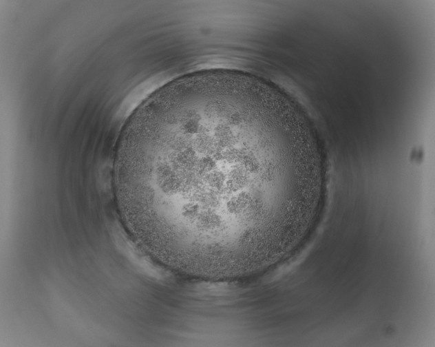 X0000110981121200906191357