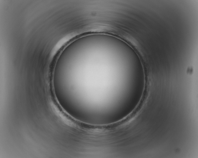 X0000110981122200906191358