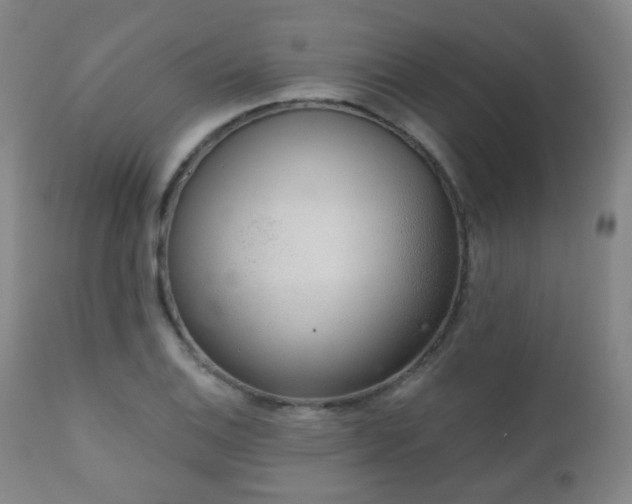 X0000110981124200906191358