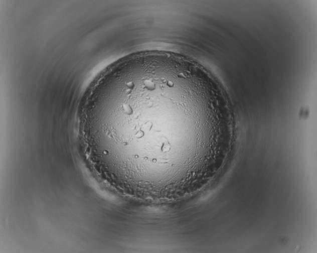 X0000110981125200906191358