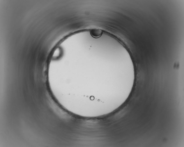 X0000110981126200906191358