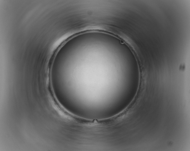 X0000110981127200906191358