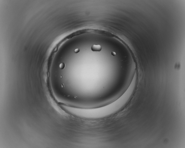 X0000110981128200906191358