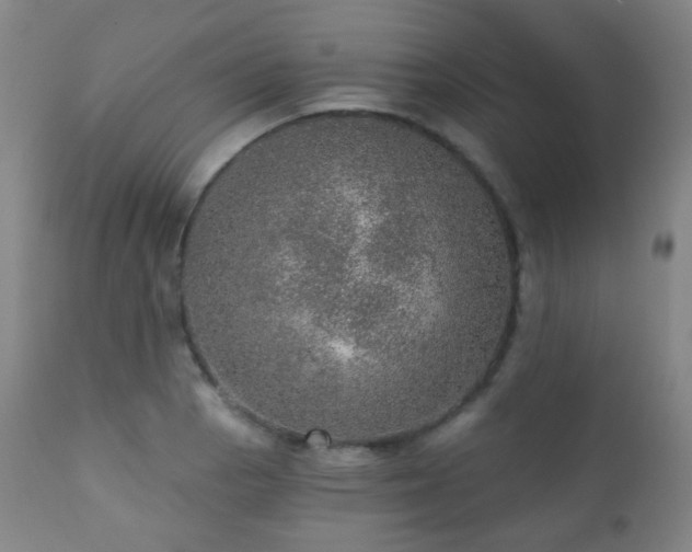 X0000110981129200906191358