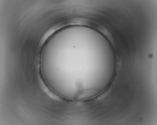 X0000110981130200906191358