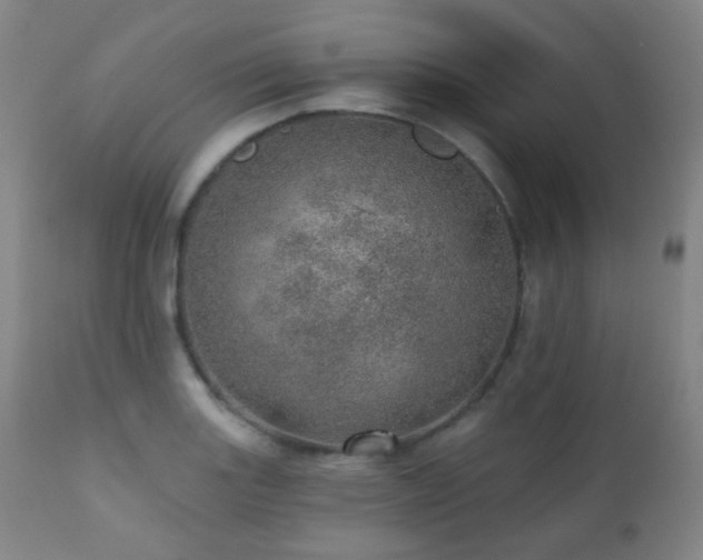 X0000110981131200906191358