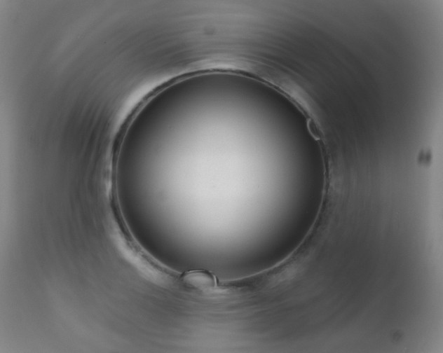 X0000110981132200906191358