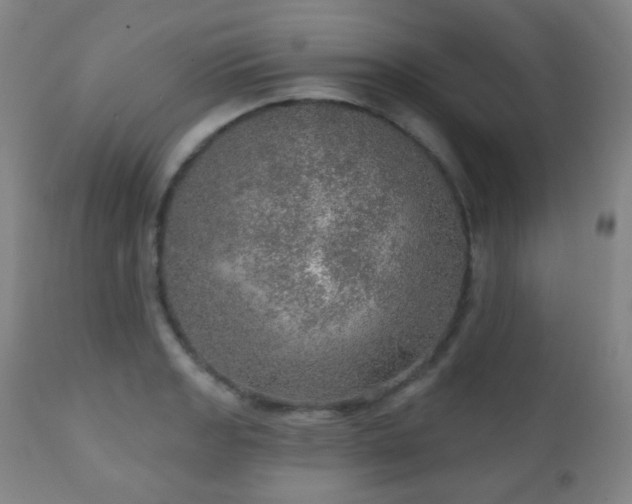 X0000110981133200906191358