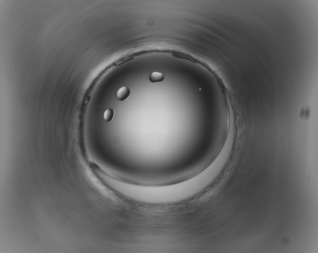 X0000110981134200906191358