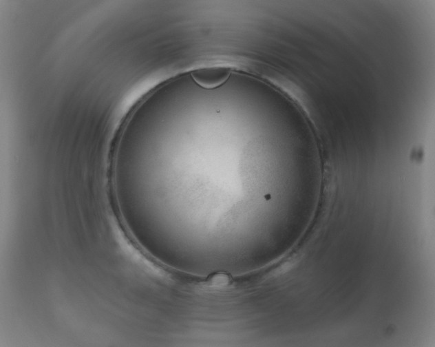 X0000110981135200906191358