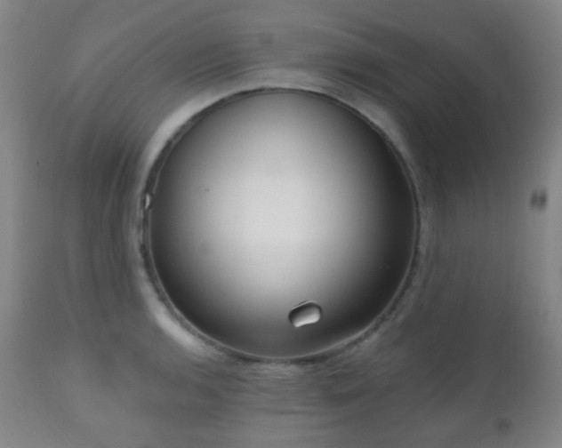 X0000110981136200906191358