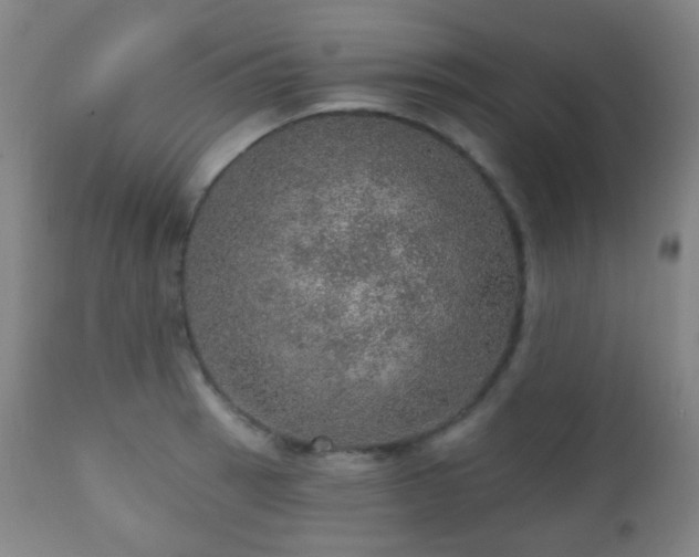 X0000110981137200906191358