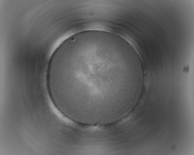 X0000110981139200906191358