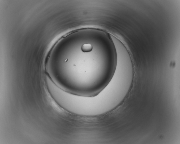 X0000110981140200906191358