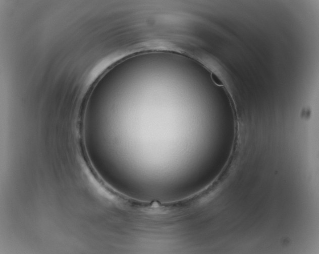 X0000110981141200906191358