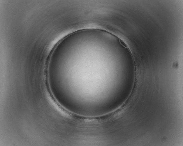 X0000110981142200906191358