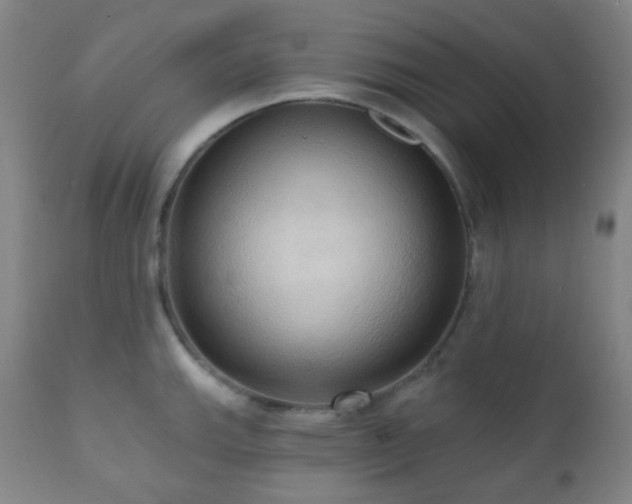 X0000110981143200906191358