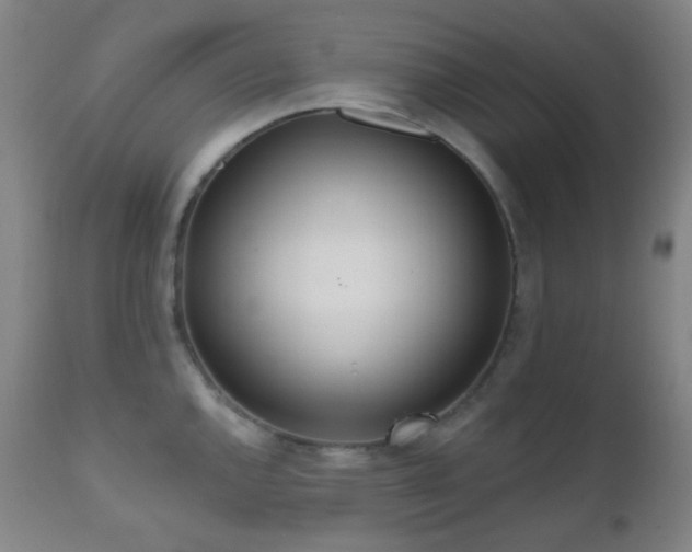 X0000110981144200906191358