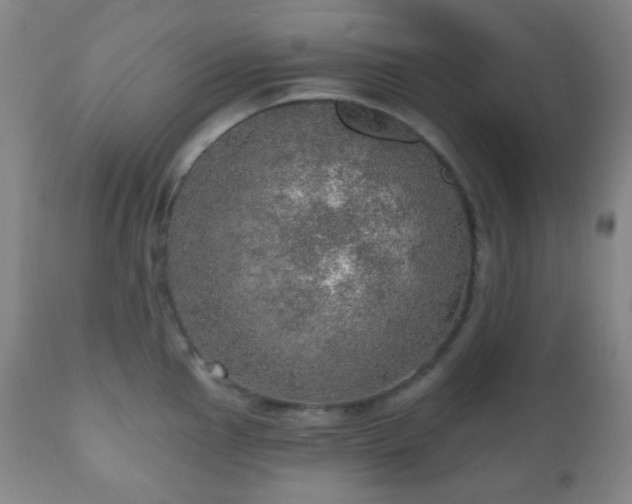 X0000110981145200906191358