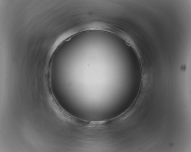 X0000110981146200906191358