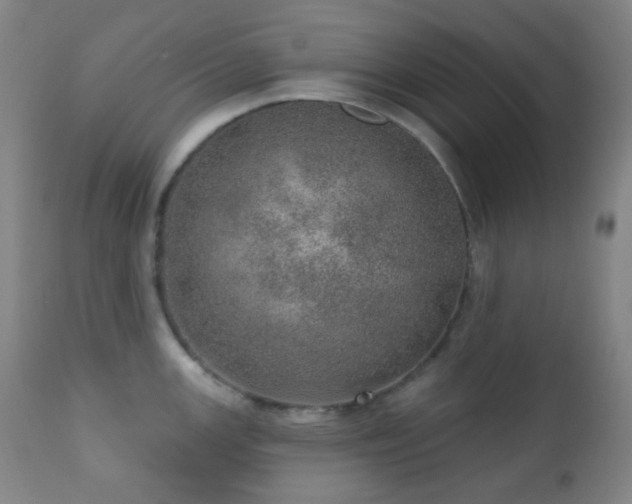 X0000110981147200906191358