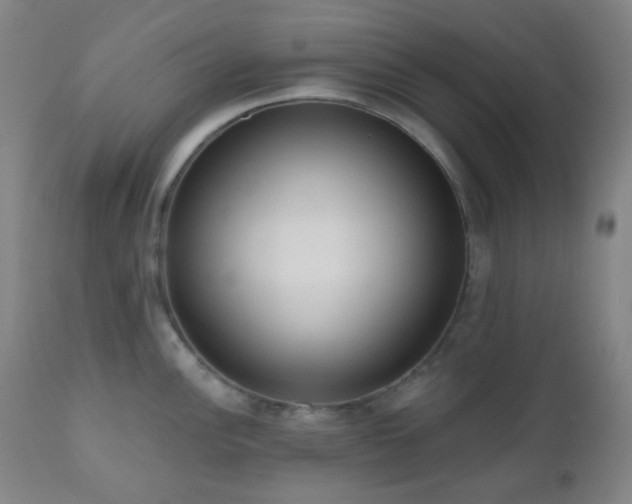 X0000110981148200906191358