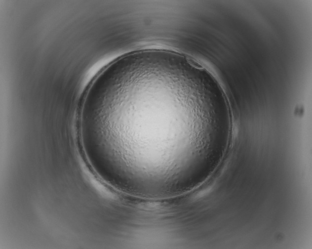 X0000110981149200906191358